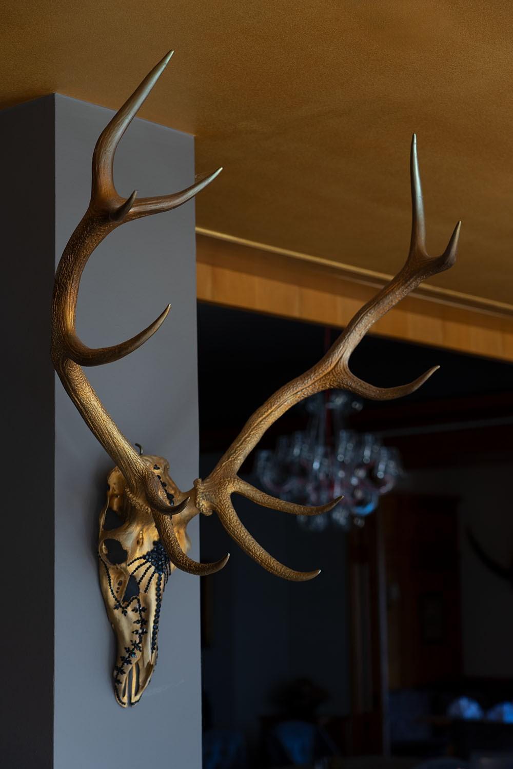 Wildauers Haidenhof Stay & Sleep Lienz Extérieur photo